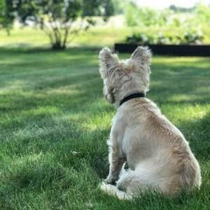 Meet your Posher, Mary